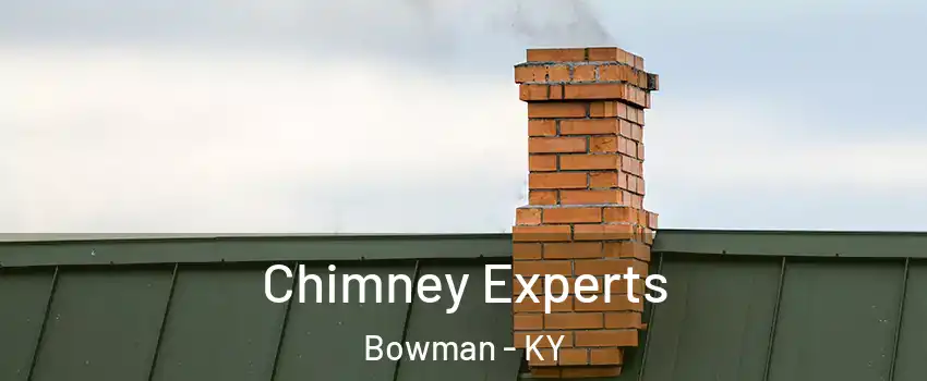 Chimney Experts Bowman - KY