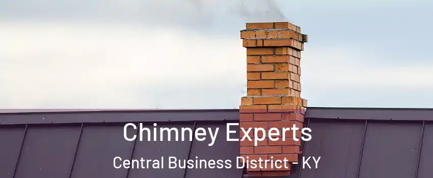 Chimney Experts Central Business District - KY