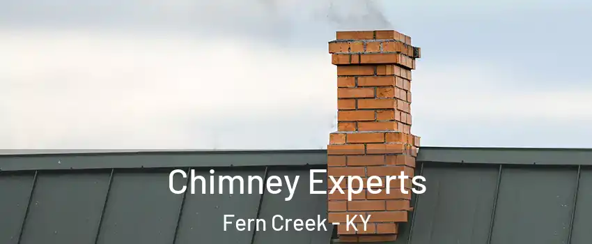 Chimney Experts Fern Creek - KY