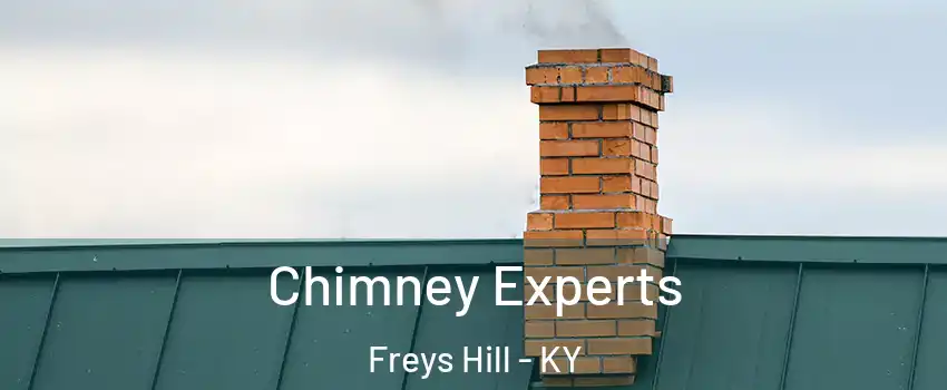 Chimney Experts Freys Hill - KY