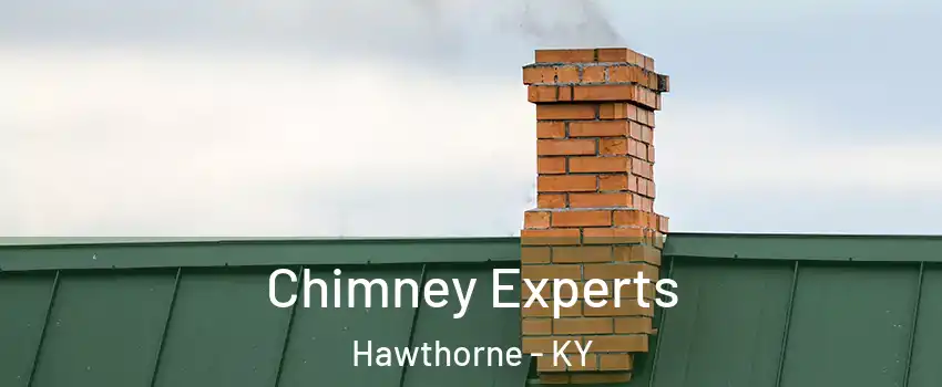 Chimney Experts Hawthorne - KY