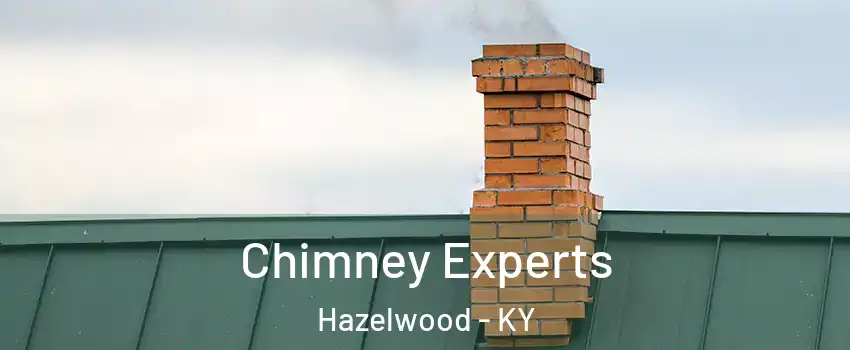 Chimney Experts Hazelwood - KY