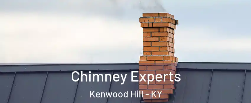 Chimney Experts Kenwood Hill - KY