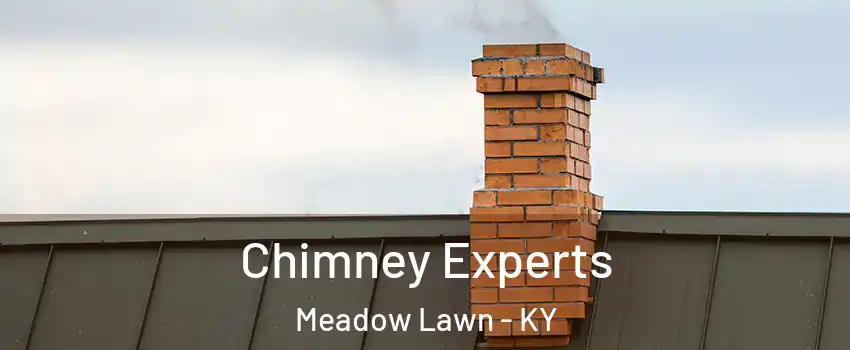 Chimney Experts Meadow Lawn - KY