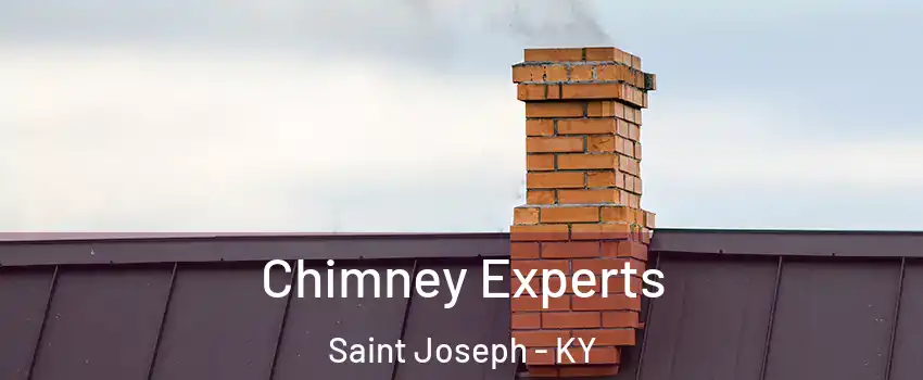 Chimney Experts Saint Joseph - KY