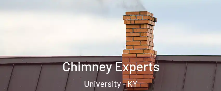 Chimney Experts University - KY