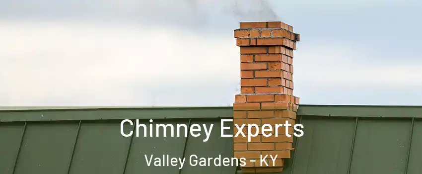 Chimney Experts Valley Gardens - KY