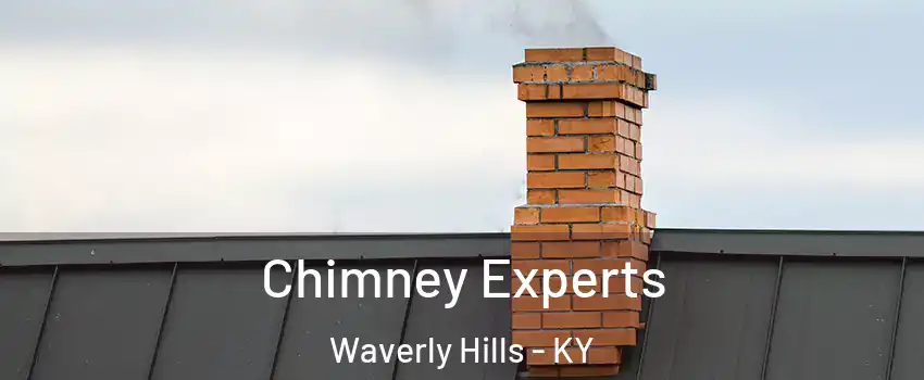 Chimney Experts Waverly Hills - KY