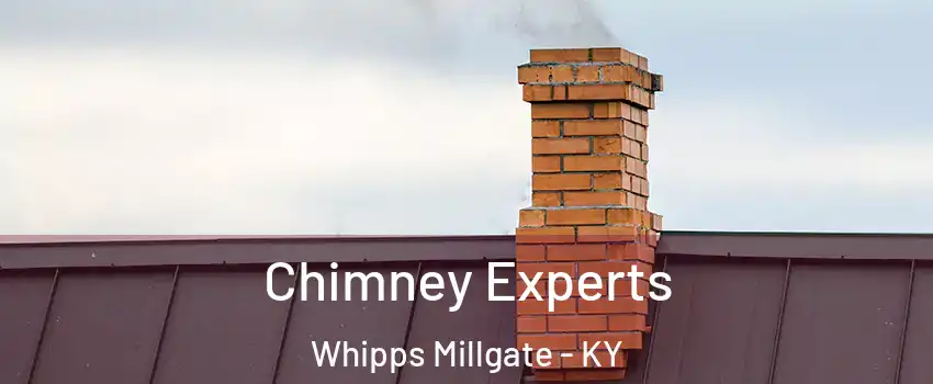 Chimney Experts Whipps Millgate - KY