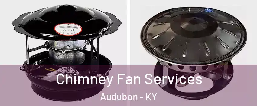 Chimney Fan Services Audubon - KY