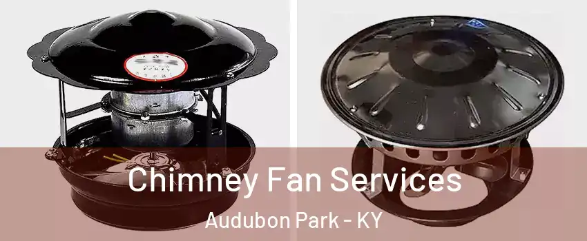 Chimney Fan Services Audubon Park - KY