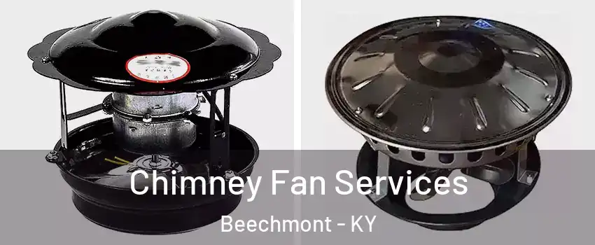 Chimney Fan Services Beechmont - KY