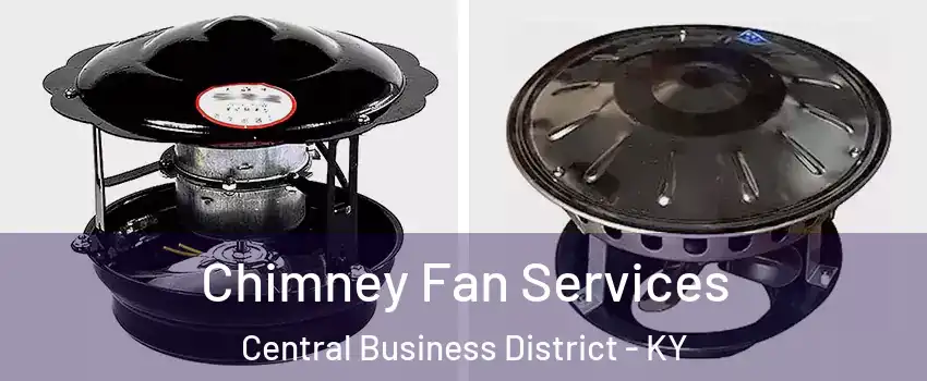 Chimney Fan Services Central Business District - KY