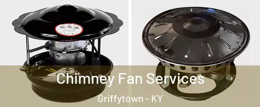 Chimney Fan Services Griffytown - KY