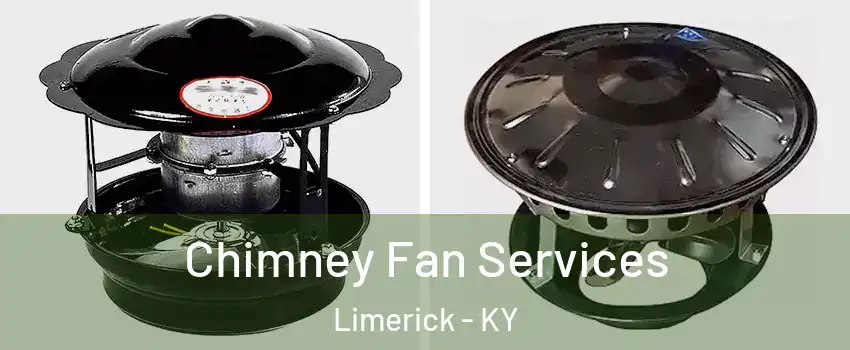 Chimney Fan Services Limerick - KY