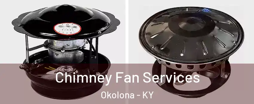 Chimney Fan Services Okolona - KY