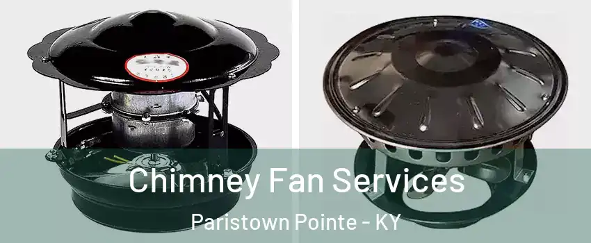 Chimney Fan Services Paristown Pointe - KY