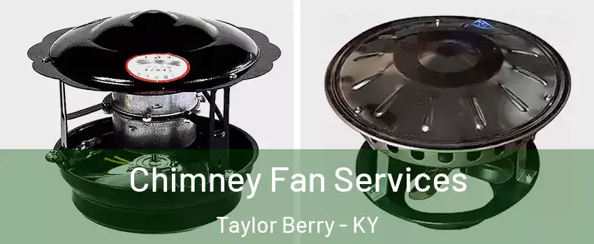 Chimney Fan Services Taylor Berry - KY