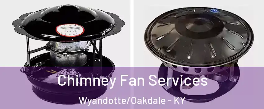 Chimney Fan Services Wyandotte/Oakdale - KY