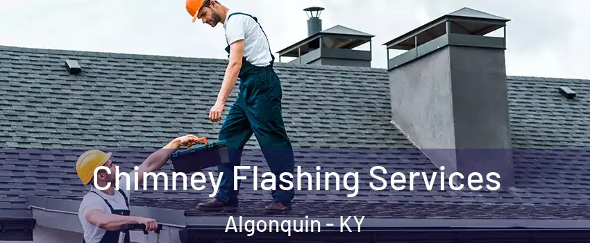 Chimney Flashing Services Algonquin - KY