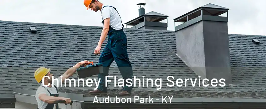 Chimney Flashing Services Audubon Park - KY