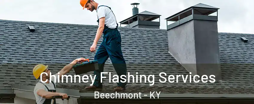 Chimney Flashing Services Beechmont - KY