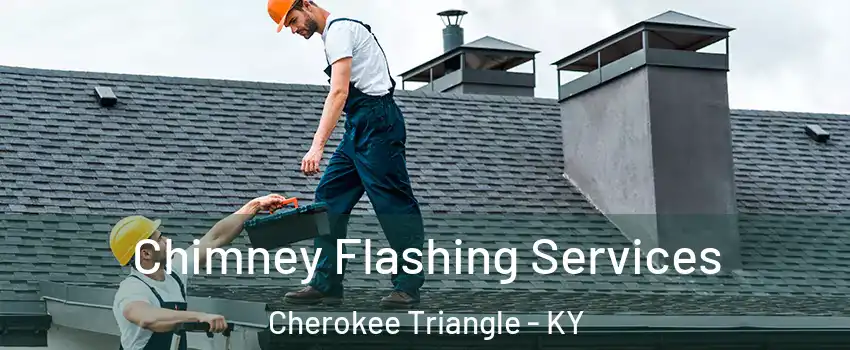 Chimney Flashing Services Cherokee Triangle - KY