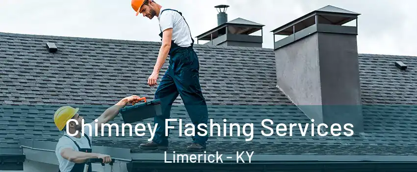 Chimney Flashing Services Limerick - KY