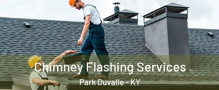 Chimney Flashing Services Park Duvalle - KY