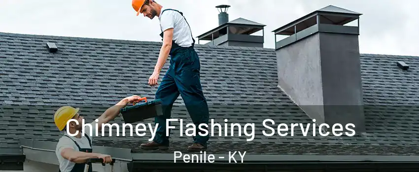 Chimney Flashing Services Penile - KY