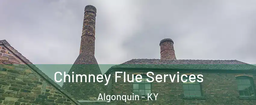 Chimney Flue Services Algonquin - KY