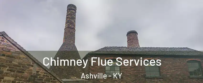 Chimney Flue Services Ashville - KY