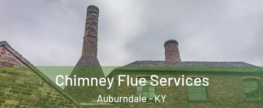 Chimney Flue Services Auburndale - KY