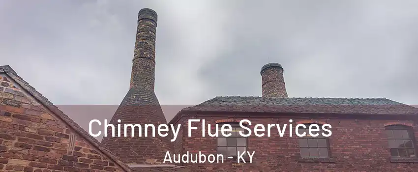 Chimney Flue Services Audubon - KY