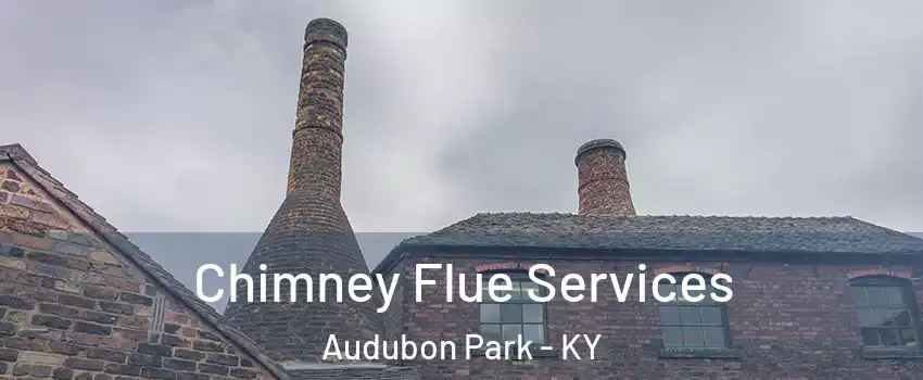 Chimney Flue Services Audubon Park - KY