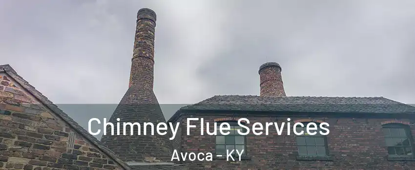 Chimney Flue Services Avoca - KY