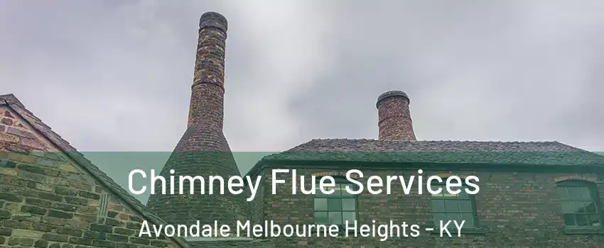 Chimney Flue Services Avondale Melbourne Heights - KY