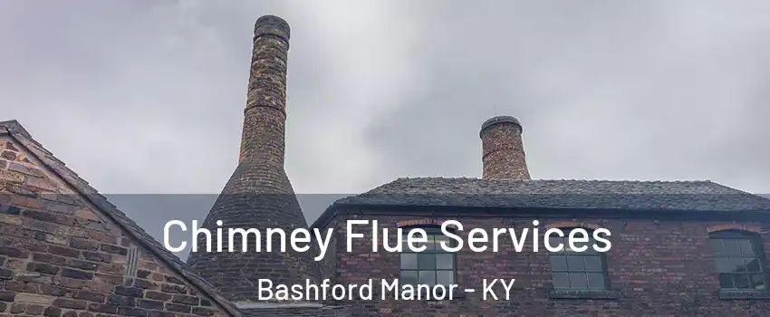 Chimney Flue Services Bashford Manor - KY