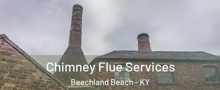 Chimney Flue Services Beechland Beach - KY