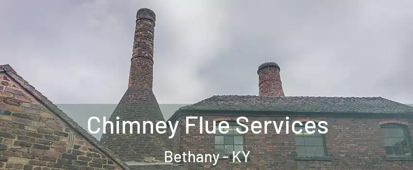 Chimney Flue Services Bethany - KY