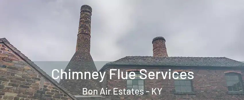 Chimney Flue Services Bon Air Estates - KY