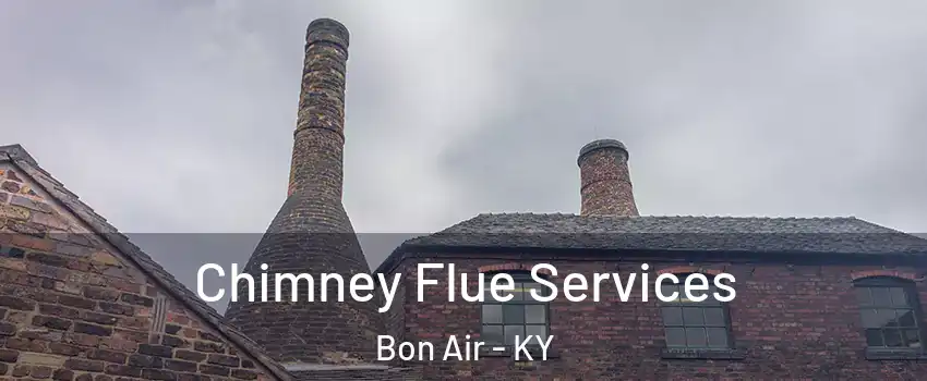 Chimney Flue Services Bon Air - KY