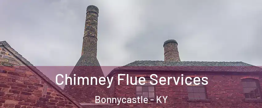 Chimney Flue Services Bonnycastle - KY