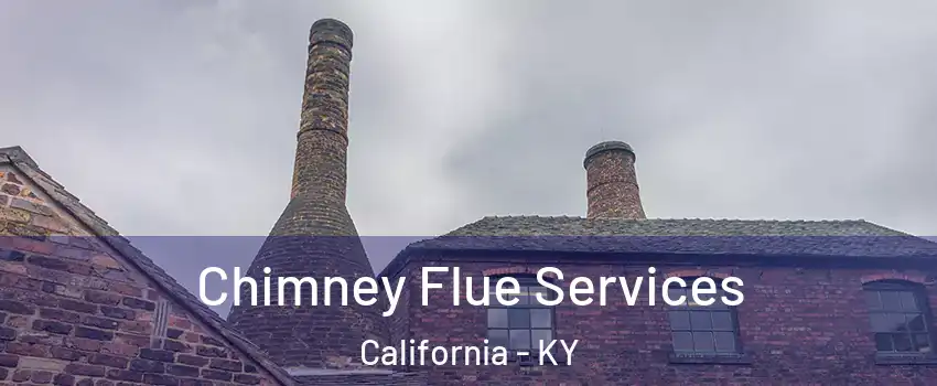 Chimney Flue Services California - KY