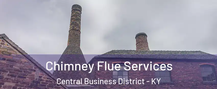 Chimney Flue Services Central Business District - KY