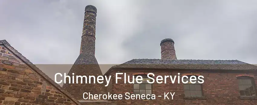 Chimney Flue Services Cherokee Seneca - KY