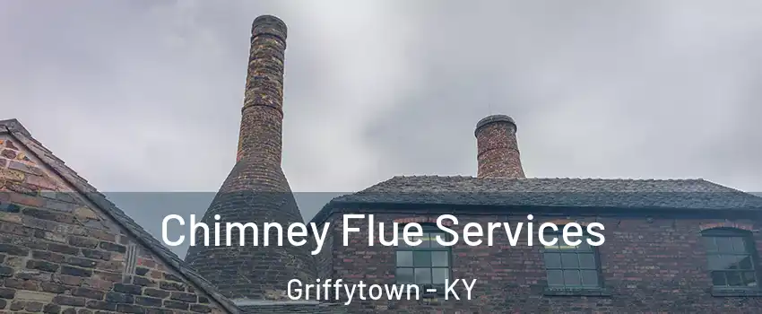 Chimney Flue Services Griffytown - KY