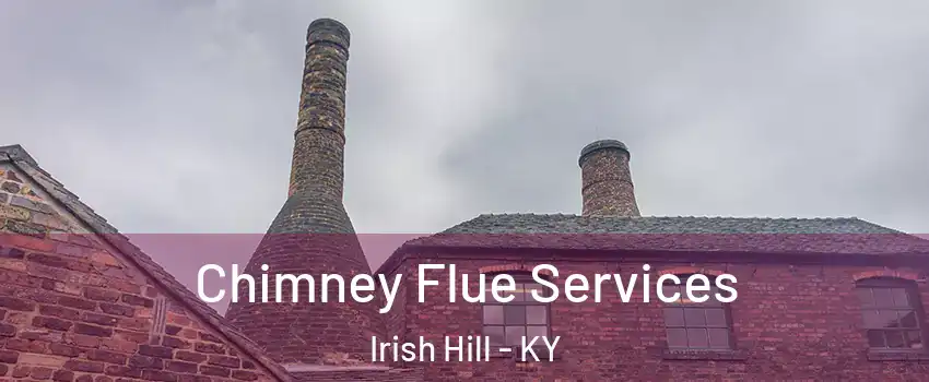 Chimney Flue Services Irish Hill - KY