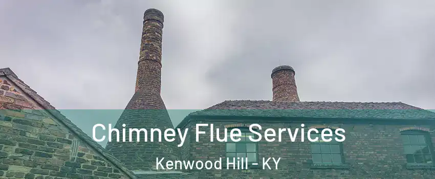 Chimney Flue Services Kenwood Hill - KY