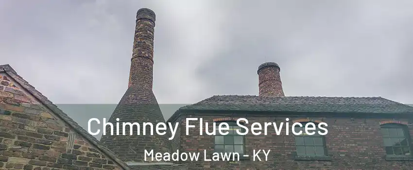 Chimney Flue Services Meadow Lawn - KY